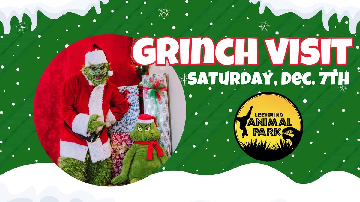 Christmas Village with Grinch Visit!