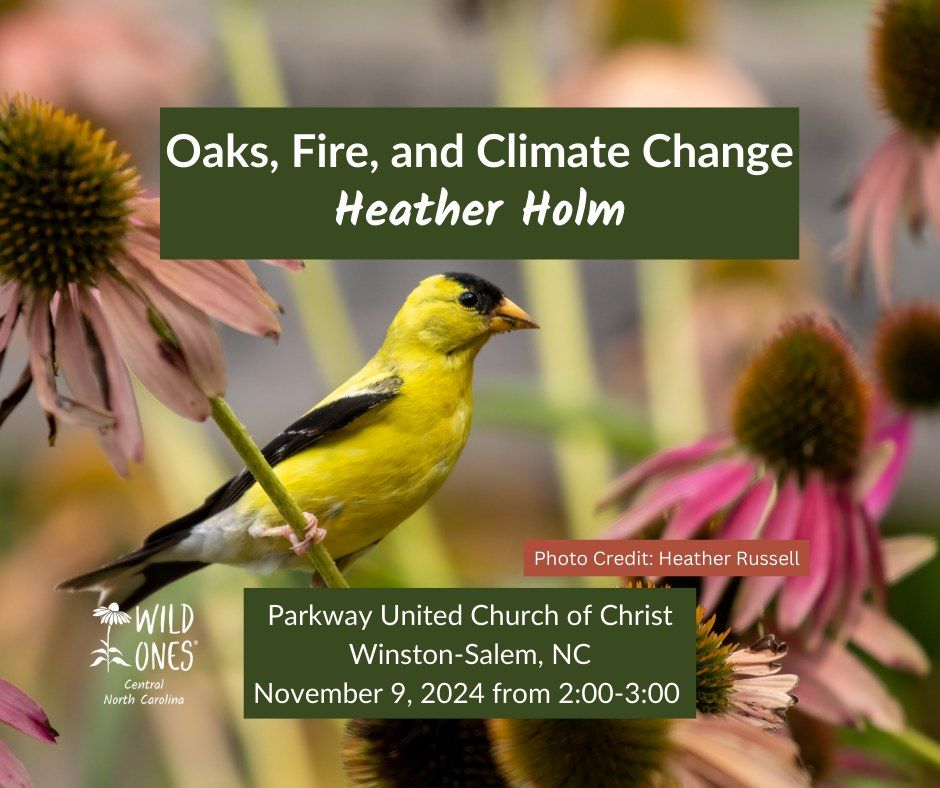 Oaks, Fire, and Climate Change with Heather Holm