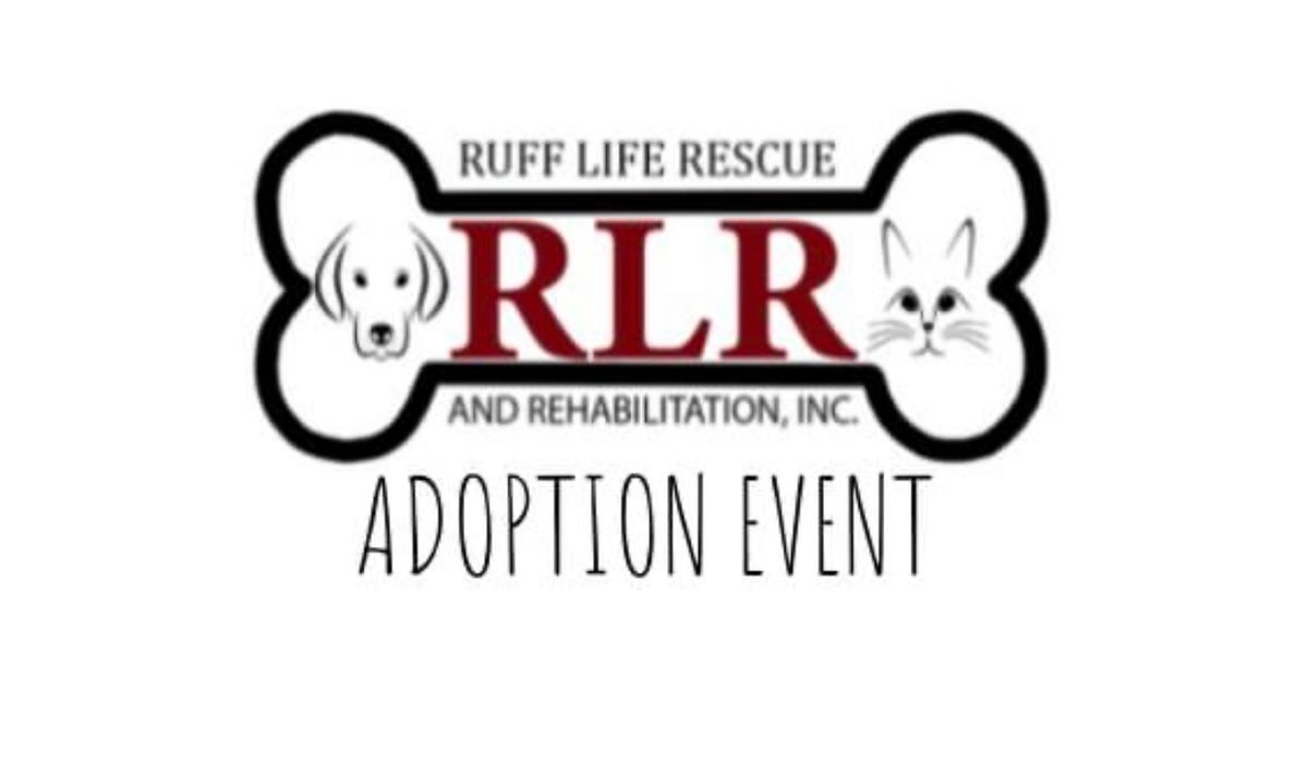 Purr Haus Adoption Event