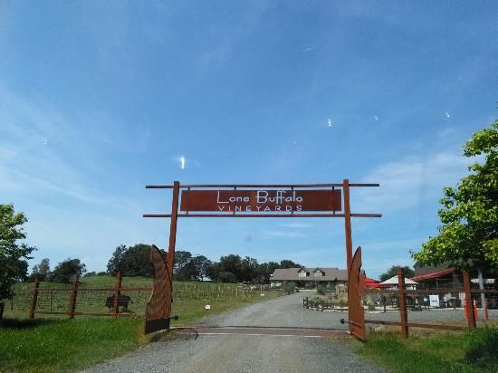 JJ's Fusion Eats at Lone Buffalo Vineyards