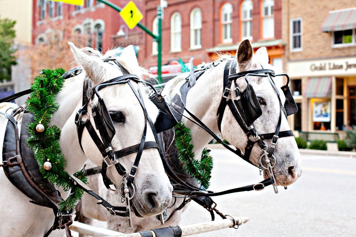 Downtown Carriage Rides 