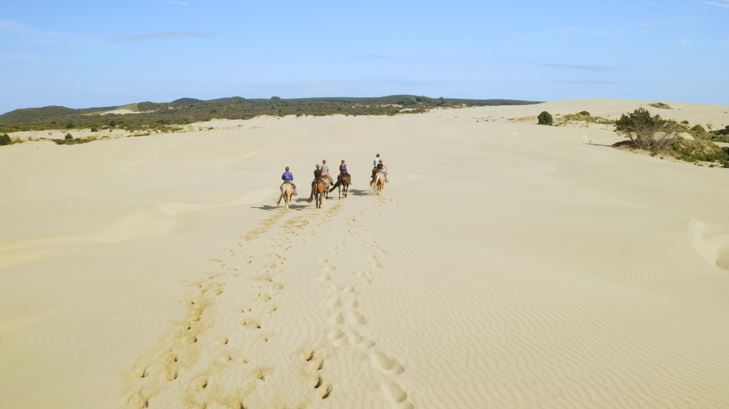 Twin Coast Wicked Long Weekend 3 day Riding Holiday