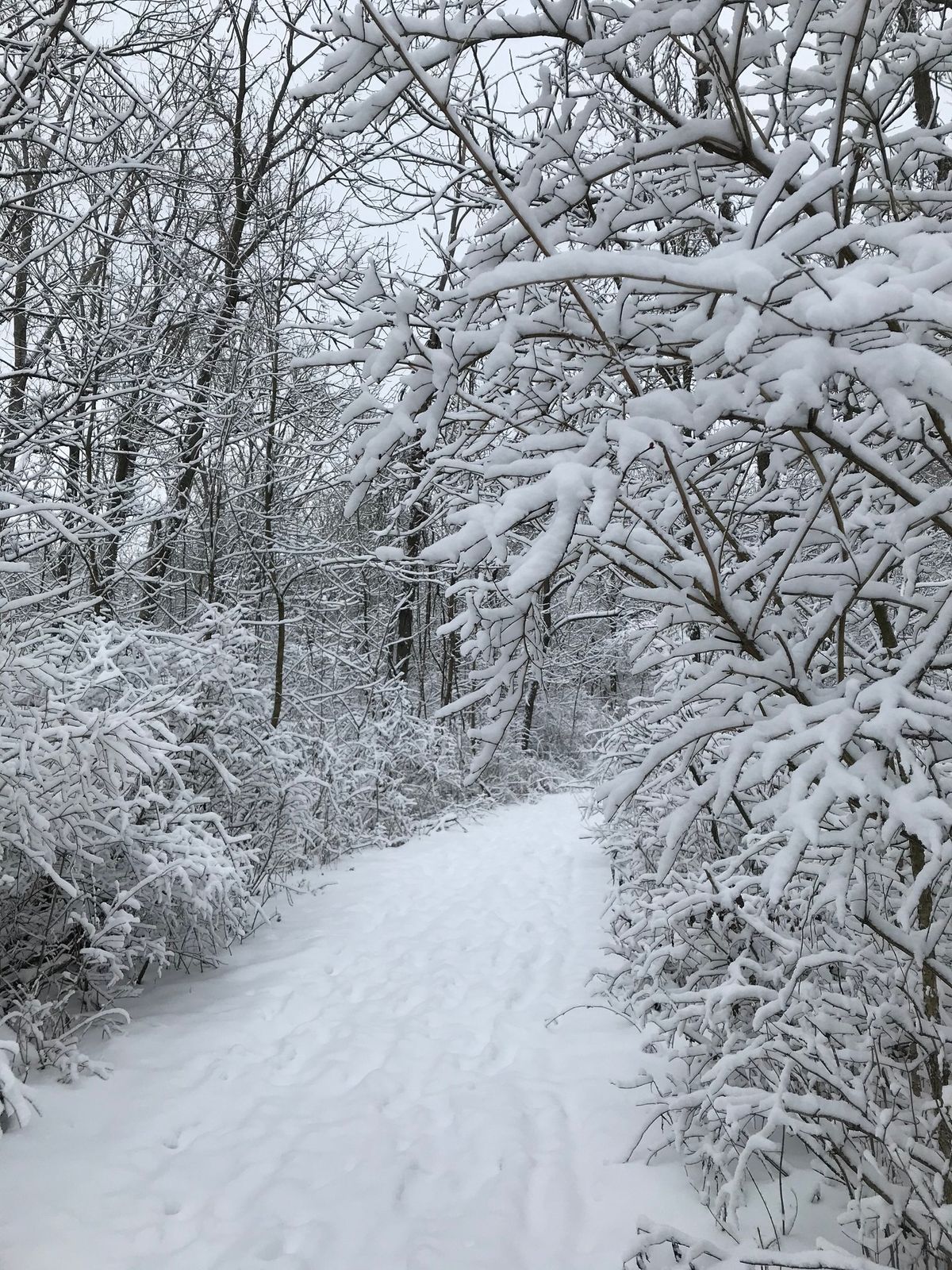 Winter Hike