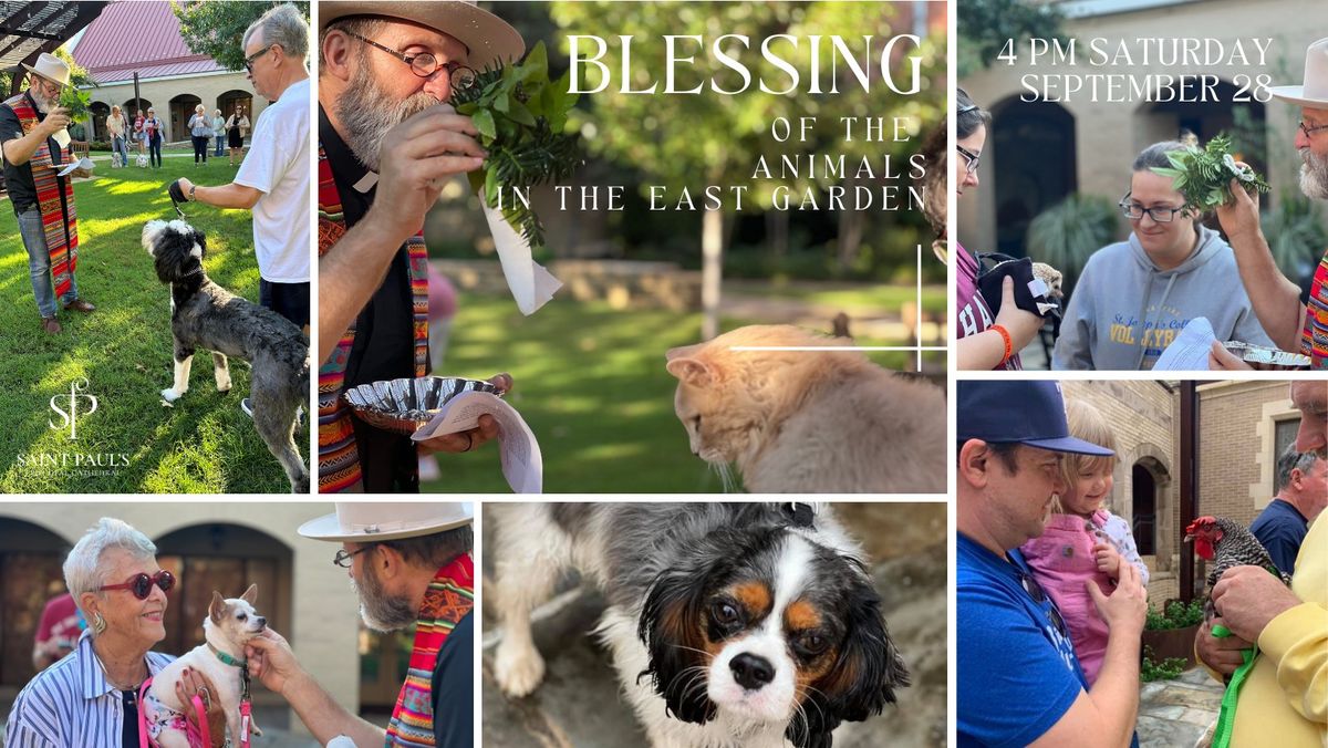 Blessing of the Animals - The Feast of Saint Francis of Assisi 