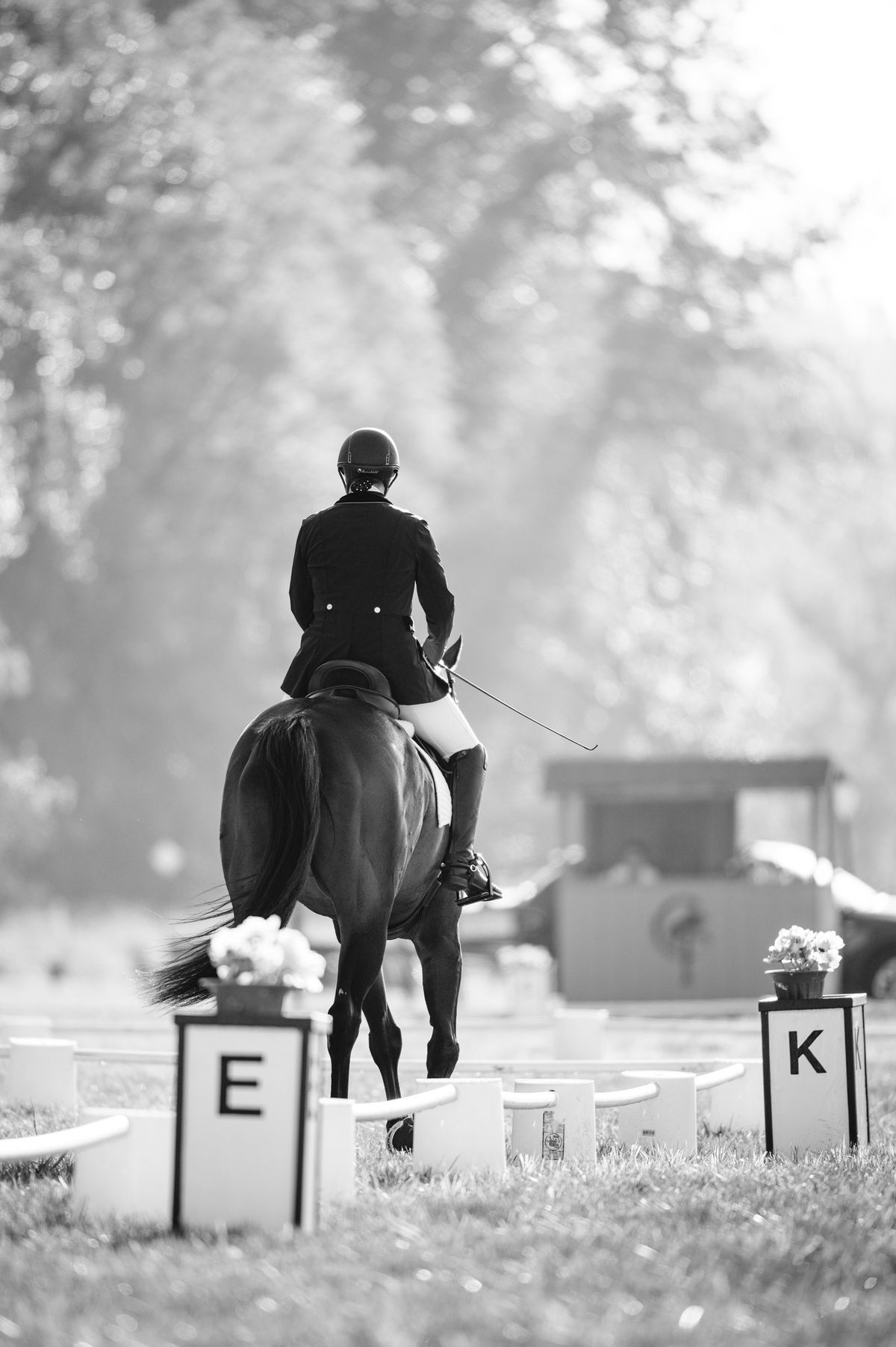 Winter Solstice Dressage Schooling Show presented by LOEC and TBEA 