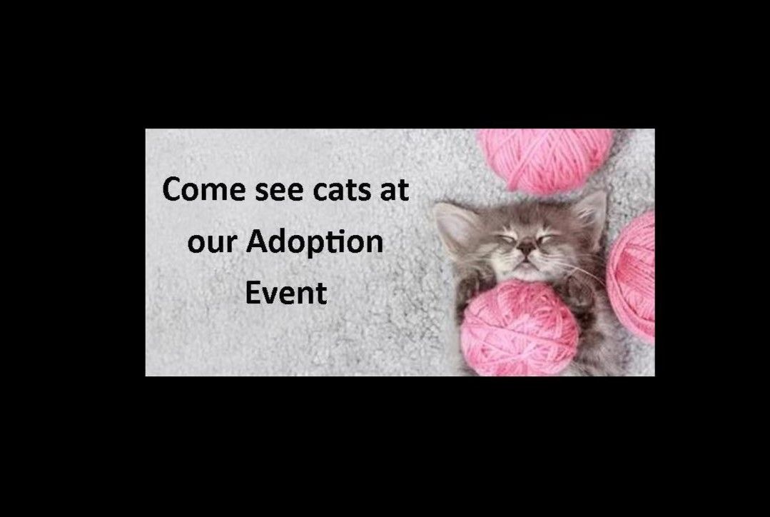 Saturday Adoption Event at Kissimmee PetSmart 12-4 pm