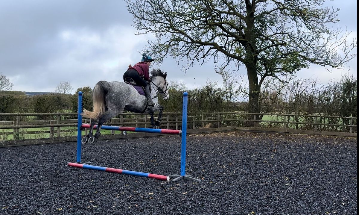 Arena hire with show jump course 