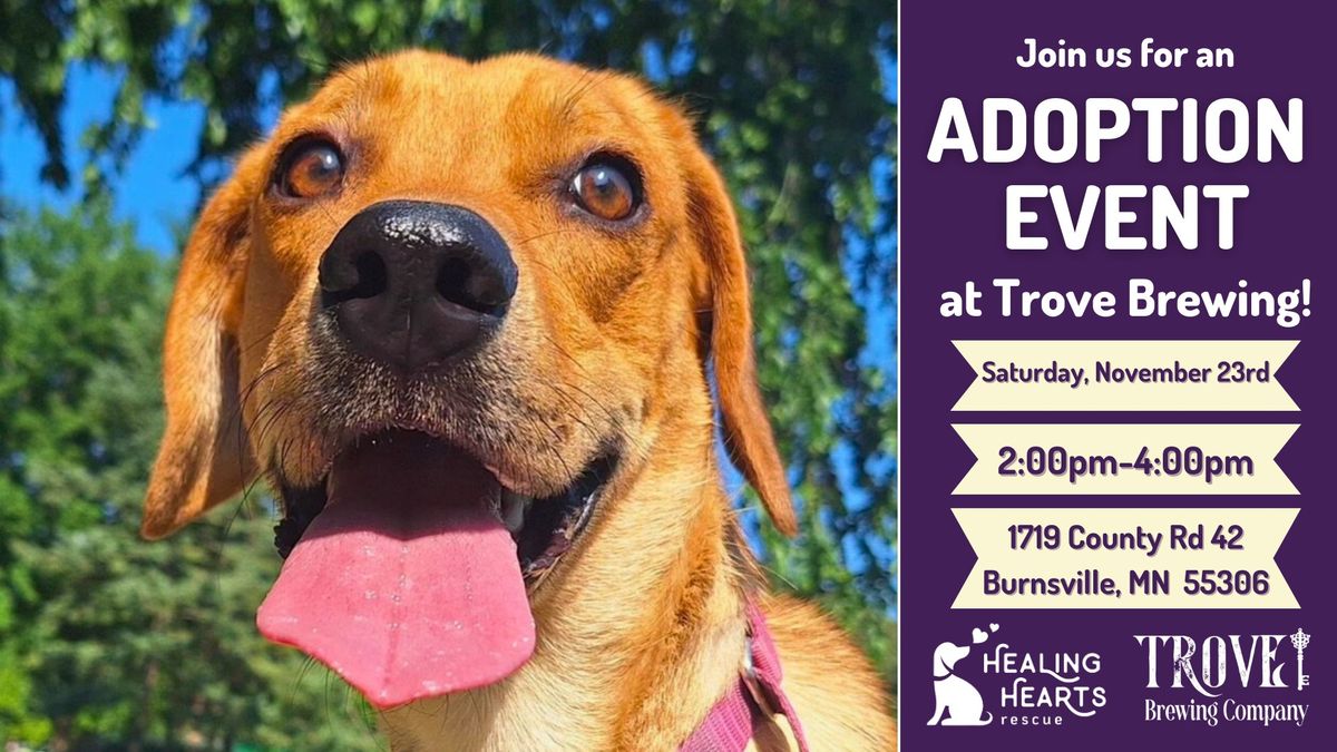 Adoption Event at Trove Brewing