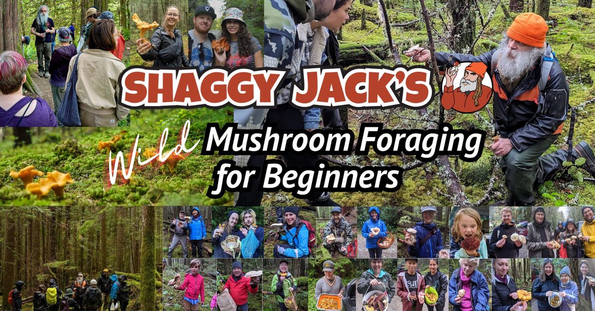 Shaggy Jack's Wild Mushroom Foraging For Beginners