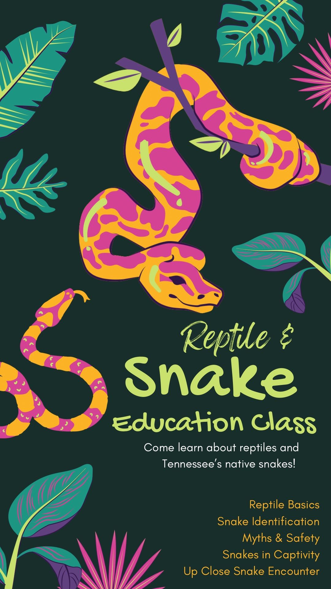 Reptile & Snake Education