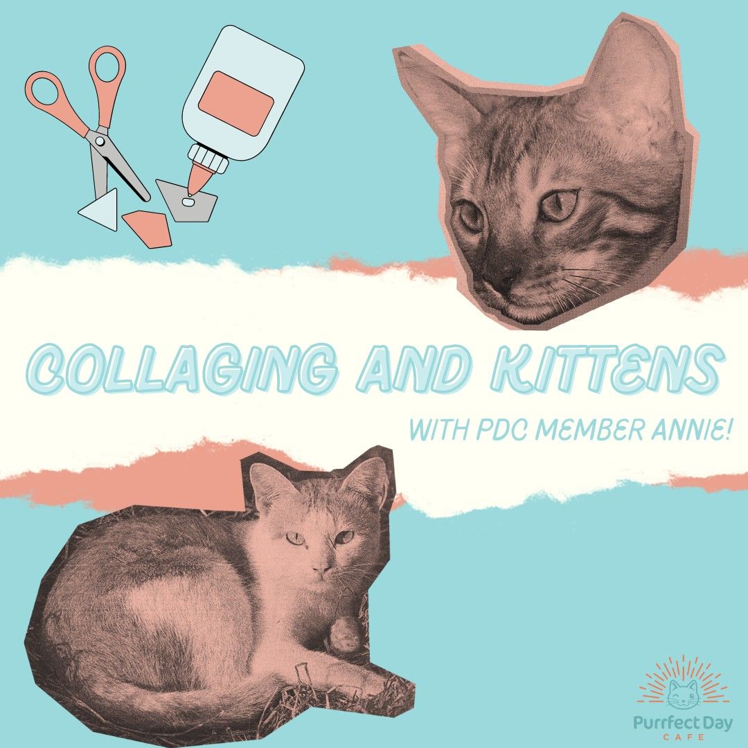 Collaging and Kitten Cuddles with Annie (For ages 18-up ONLY)