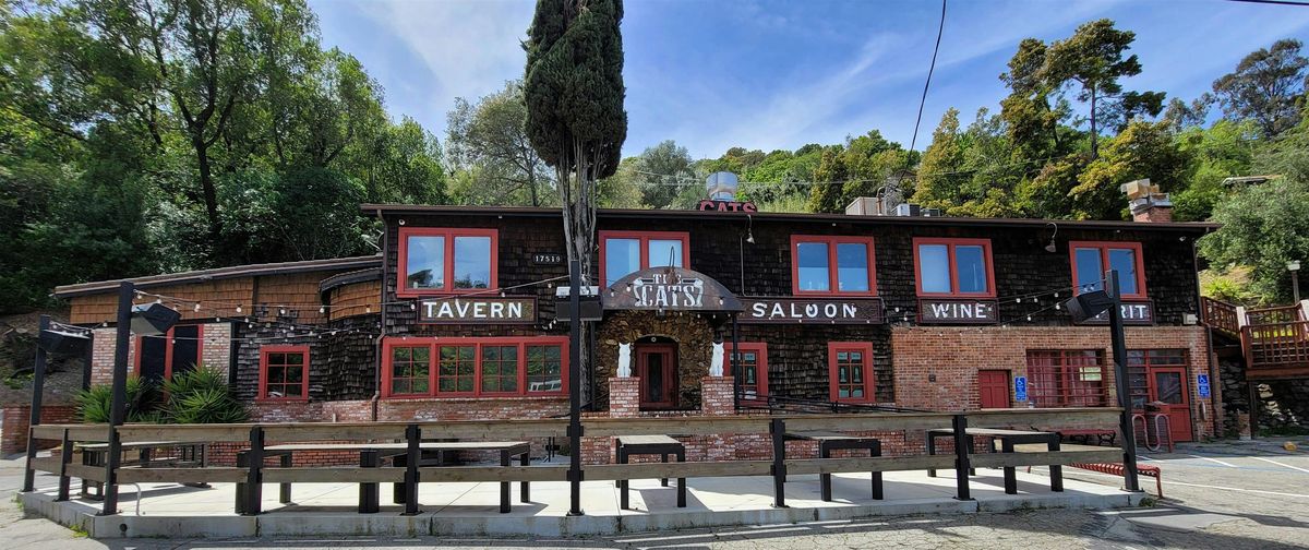 The Cats Year-End Lunch Buffet Festival