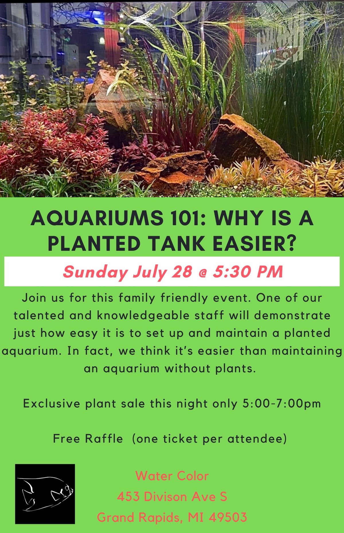 Aquariums 101: why is a planted tank easier? 