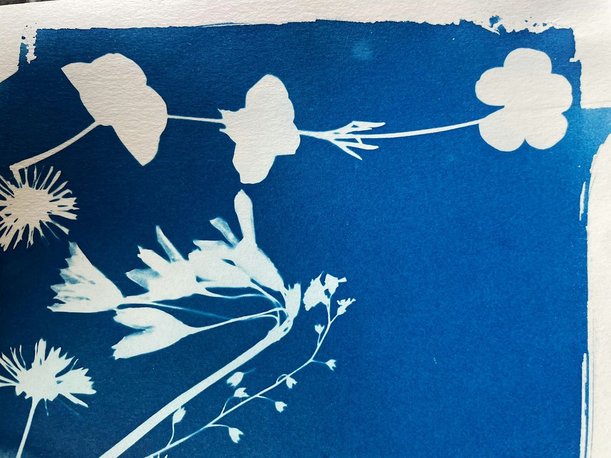 Introduction to Cyanotypes with George Rayner