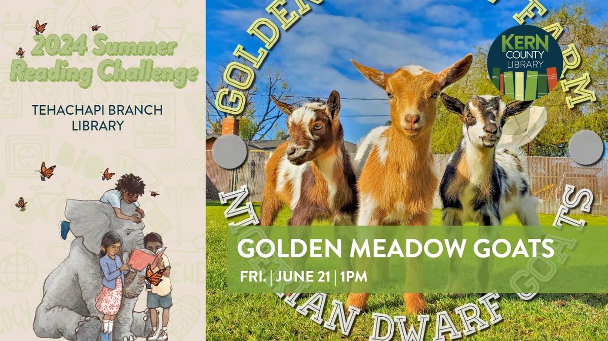 Golden Meadow Goats