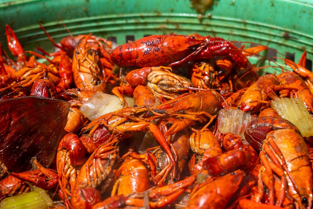 Crawfish Festival 2025