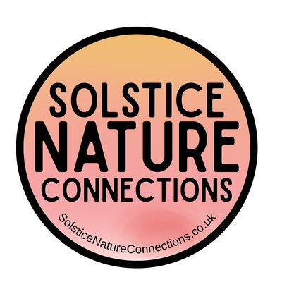 Solstice Nature Connections