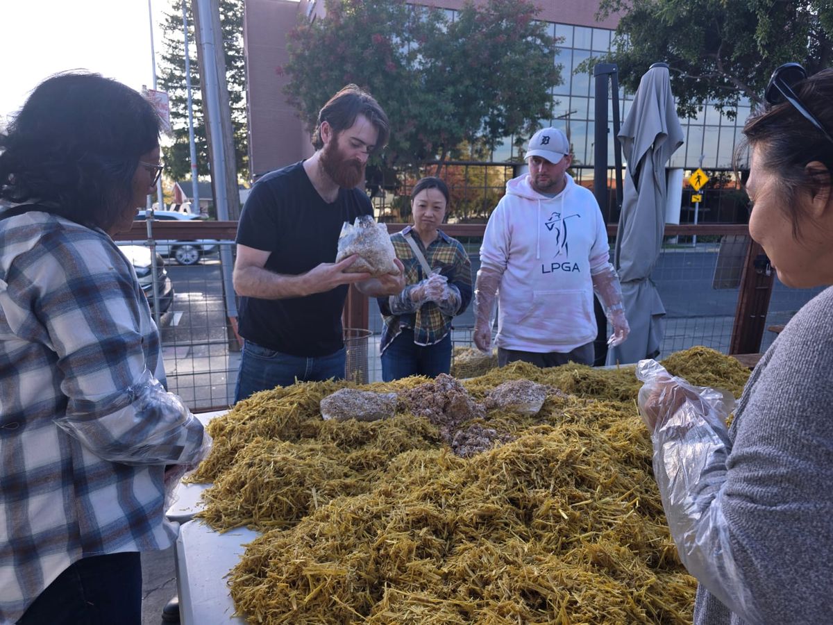 Culinary Mushroom Cultivation Workshop