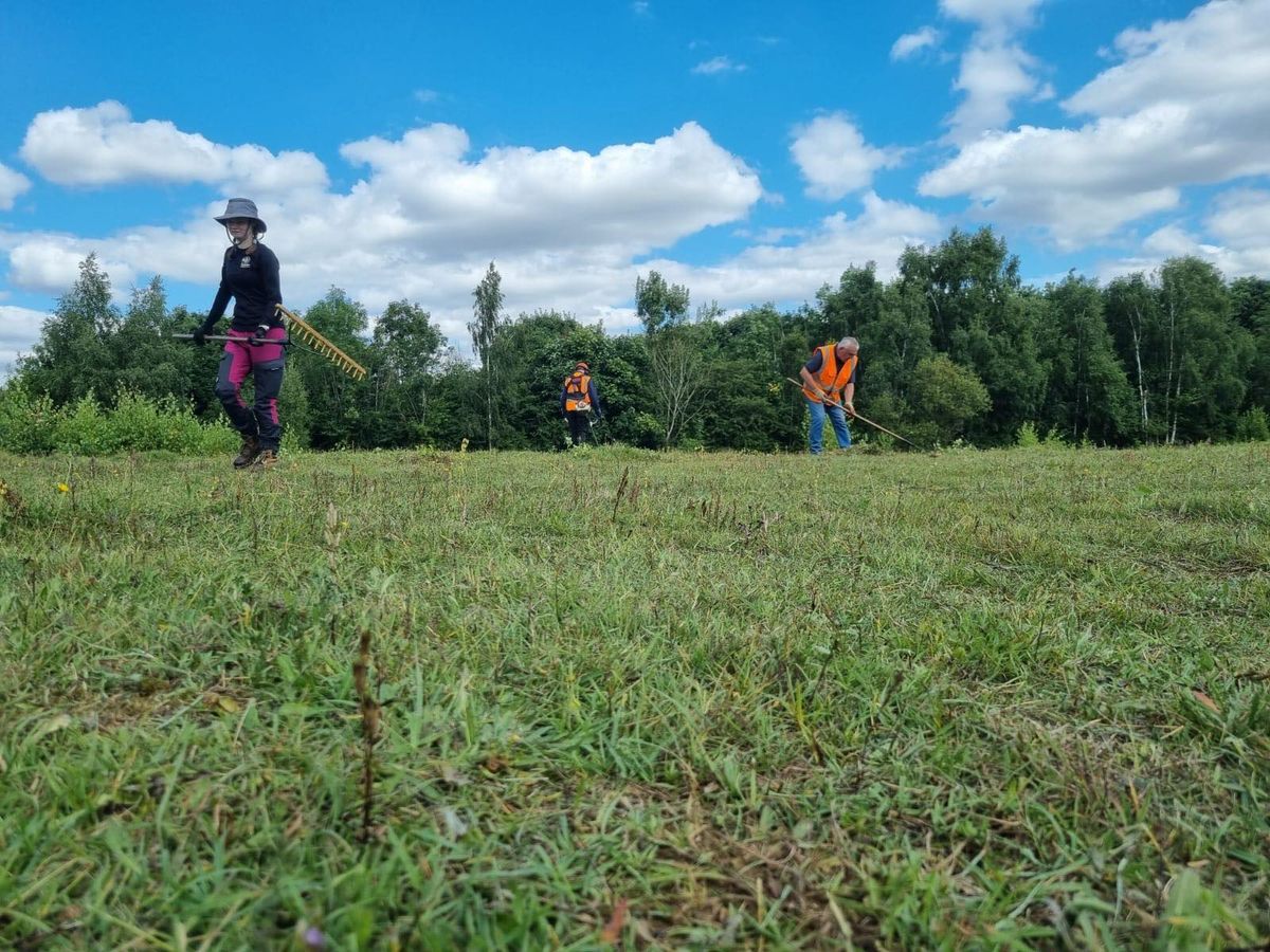 Sunday Practical Conservation Volunteer Task Days - Potteric Carr