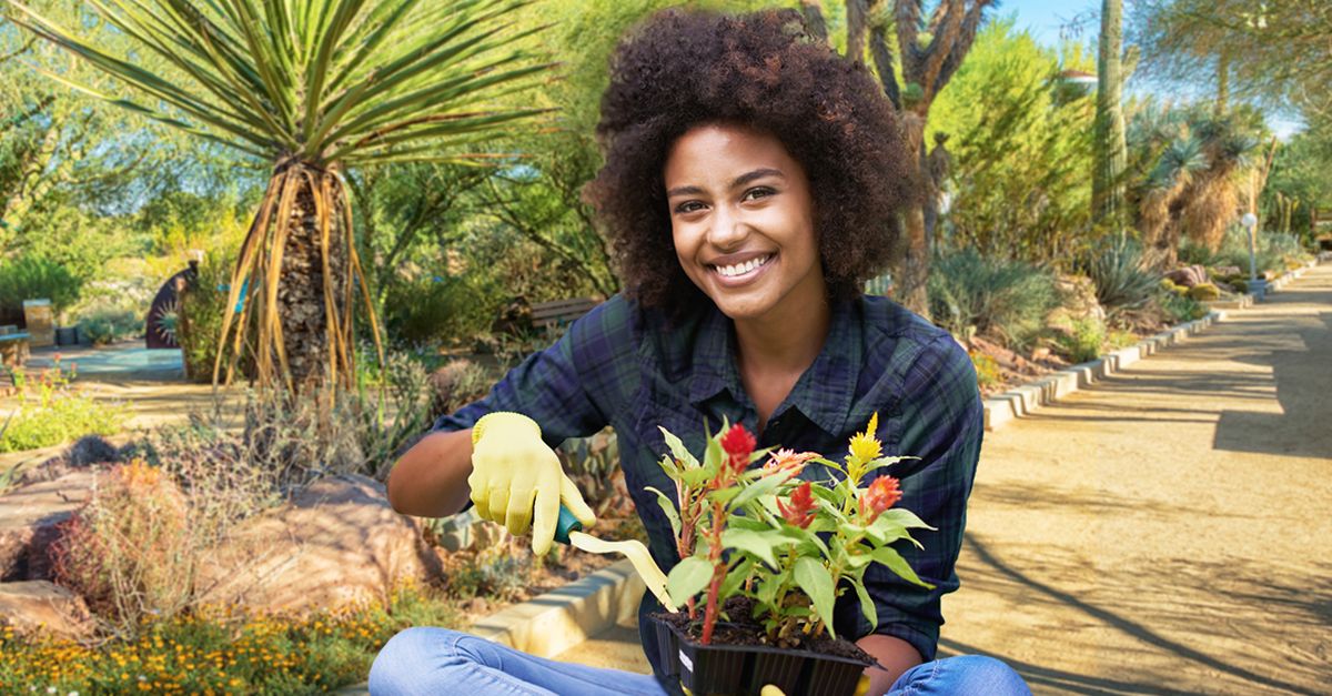 Free Class: Desert Gardening 101