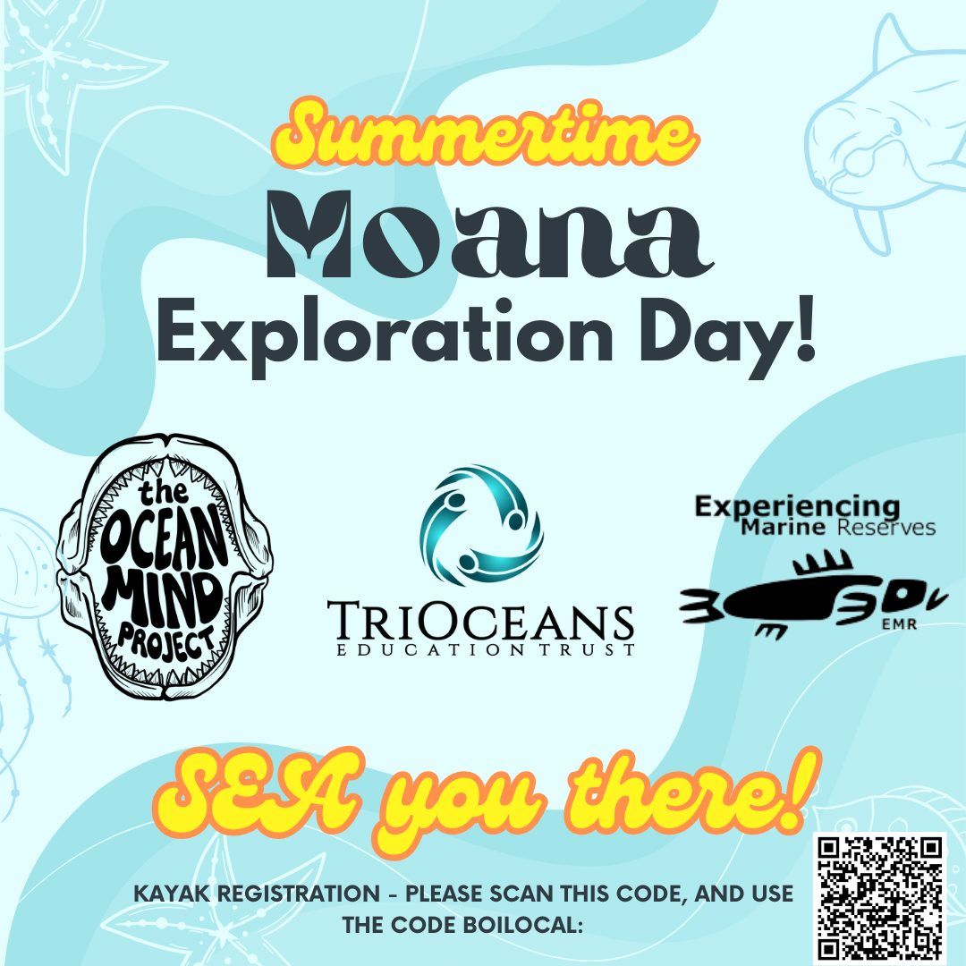 Moana Exploration Day @ Aroha Island