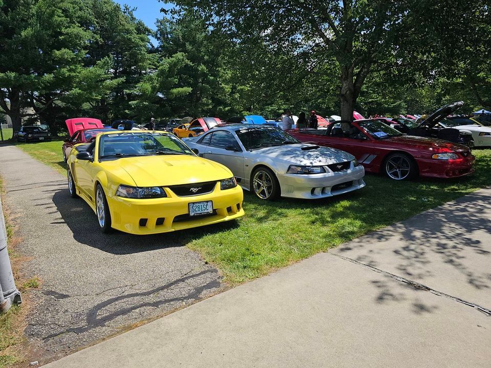 Mustang Mania Car Show