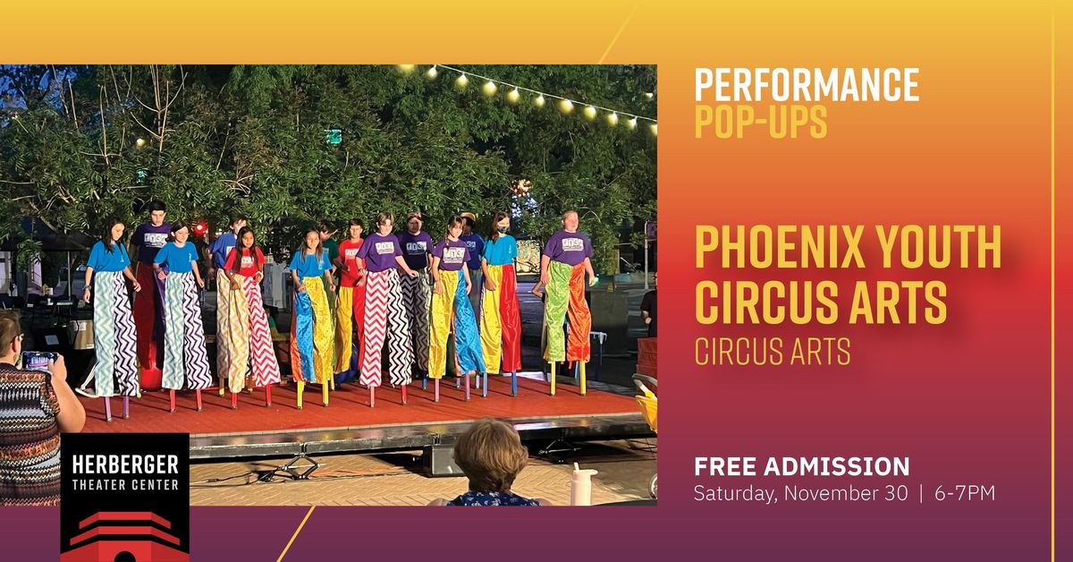 Phoenix Youth Circus Arts