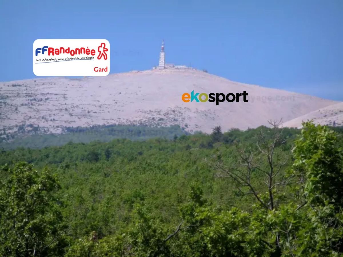 Ventoux face nord