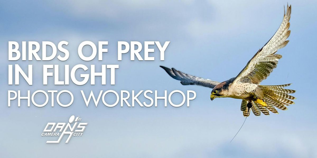 Photo Workshop: Birds of Prey - Raptors in Flight