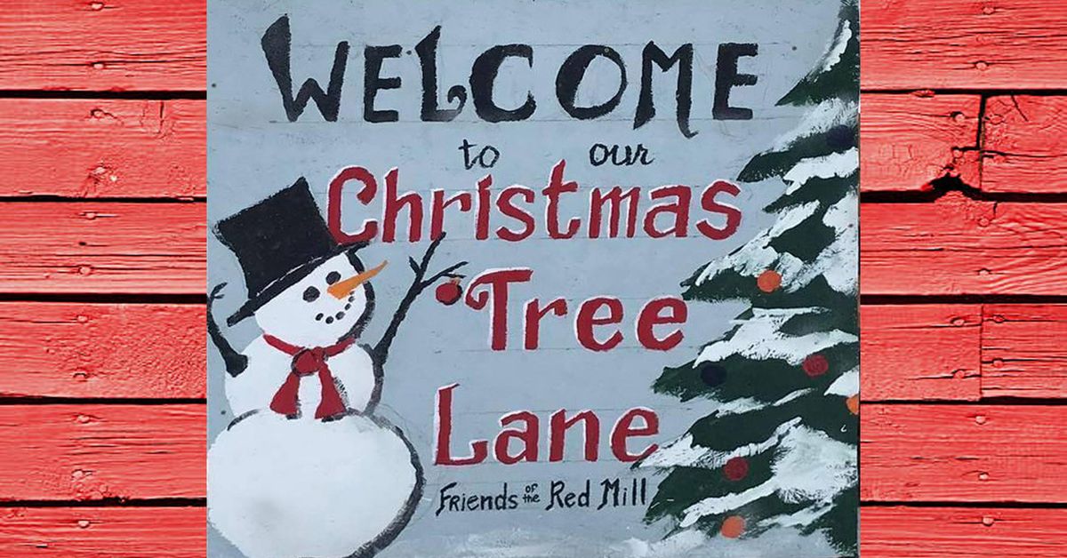 7th Annual Christmas Tree Lane