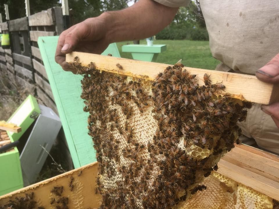 Kansas Honey Producers Association Conference