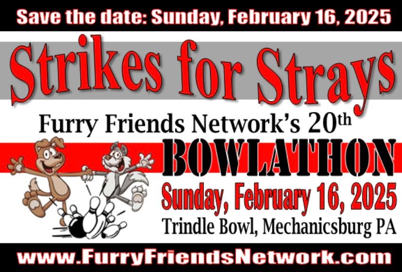 2025 Strikes for Strays