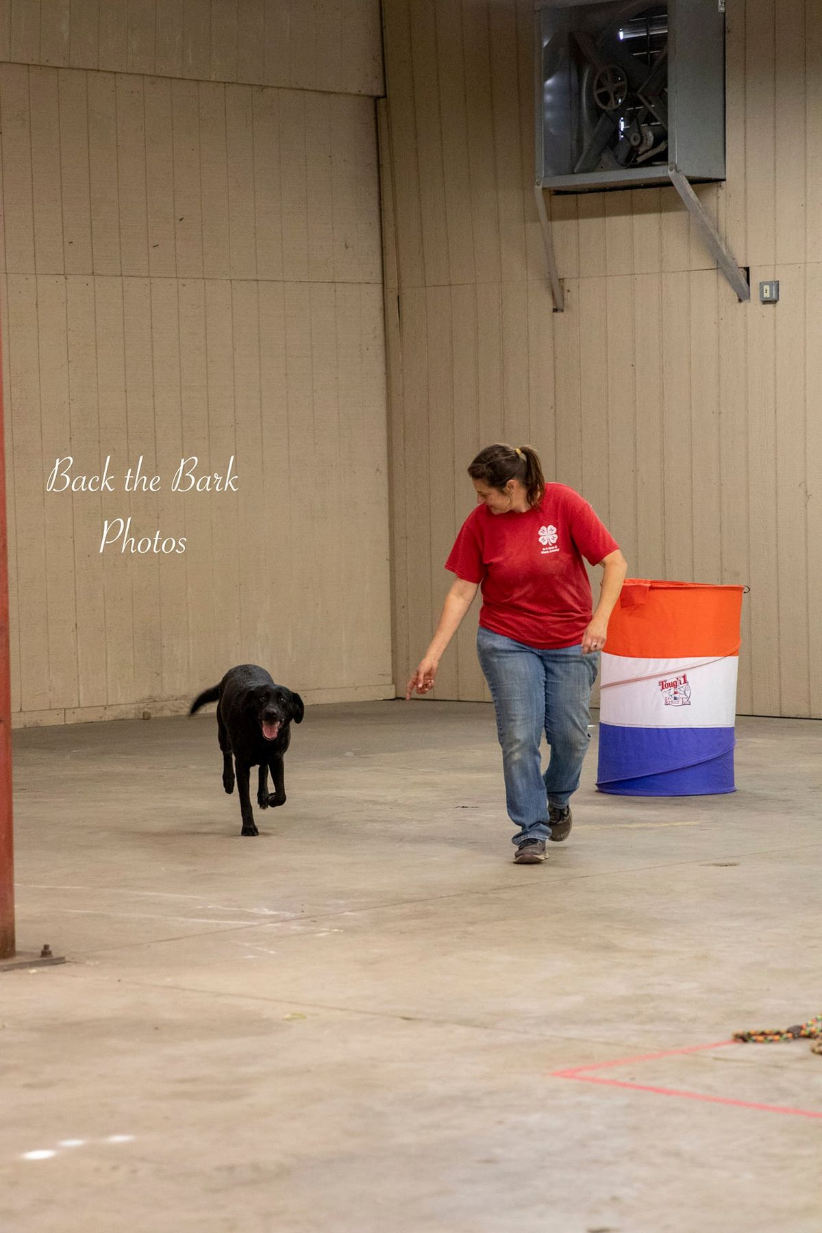 Rodeo Dog: Clover Workshop