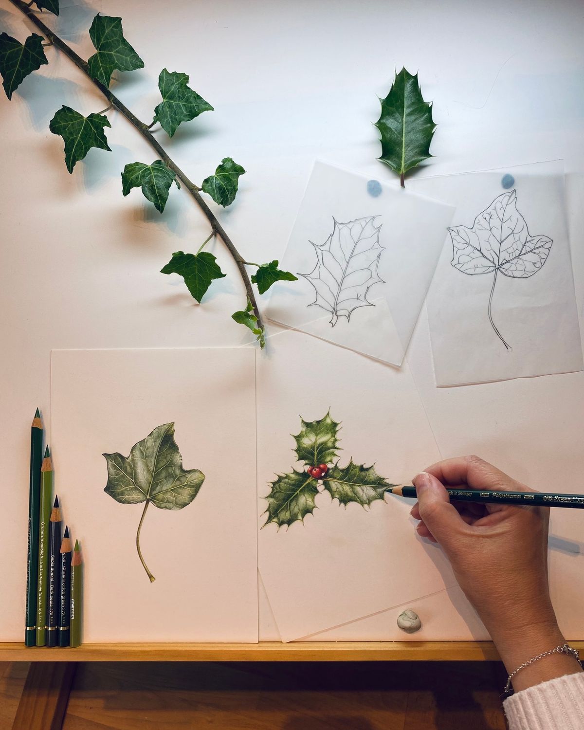 Botanical Sketchbook Winter Workshops in the Nene Wetlands