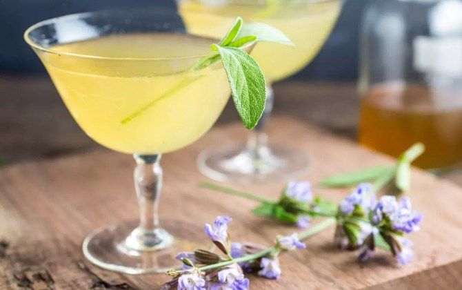 Workshop: Pollinator Cocktails - A Journey from Garden to Glass