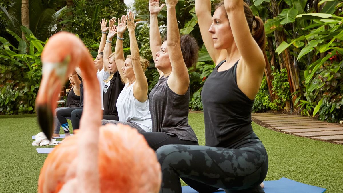 Flamingo Yoga