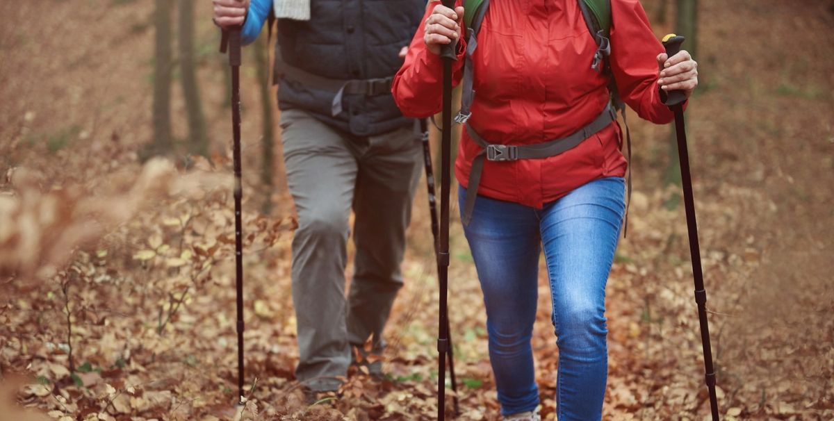 Bushwalking Skills with Walking SA