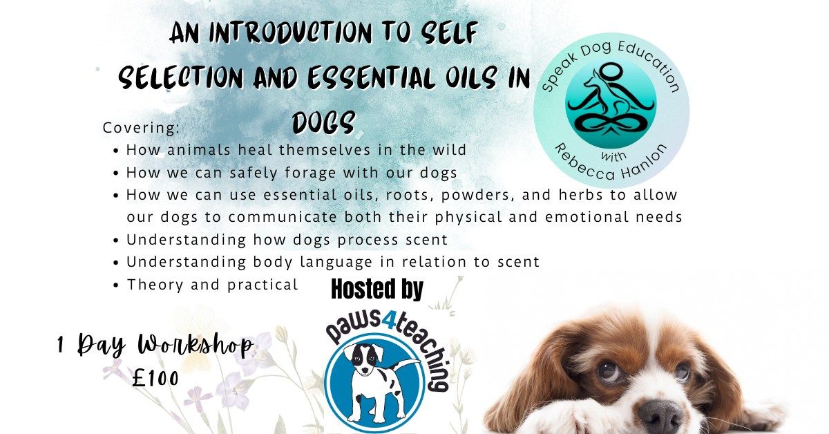 An Introduction to canine self selection and essential oils 