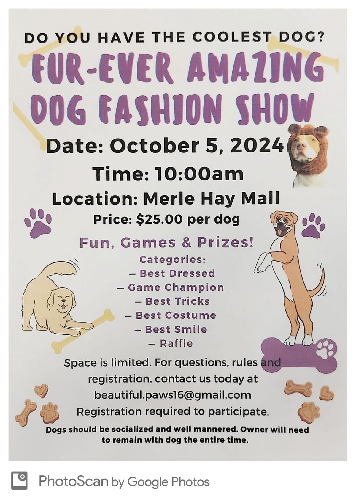 Fur-Ever Amazing Dog Fashion Show