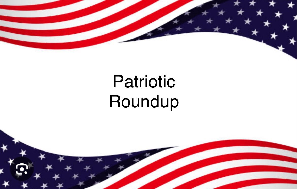 DEMOCRATIC PATRIOTIC ROUNDUP 