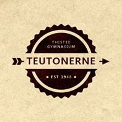 TEU (festudvalget p\u00e5 TG)