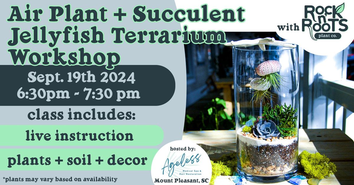 Air Plant + Succulent Jellyfish Terrarium Workshop at Ageless Med Spa (Mount Pleasant, SC)