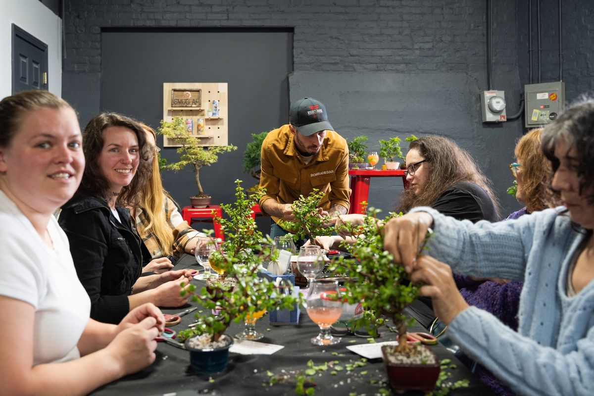 Bonsai Beginner Workshop at Czig Meister Brewing