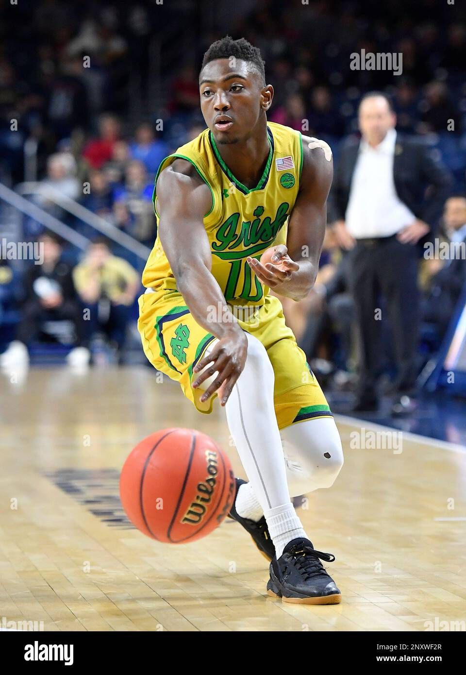 Dartmouth Big Green at Notre Dame Fighting Irish Mens Basketball