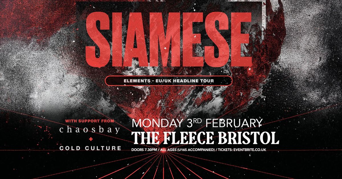 Siamese + Chaosbay + Cold Culture at The Fleece, Bristol 03\/02\/25