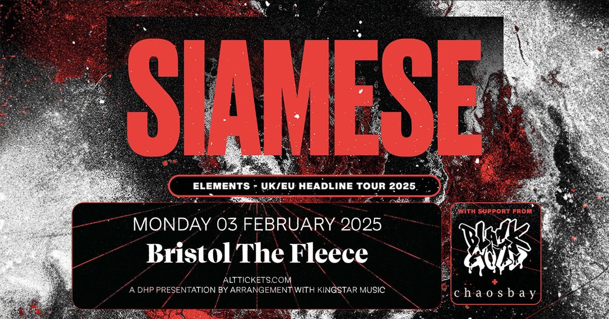 Siamese + Blackgold + Chaosbay at The Fleece, Bristol 03\/02\/25