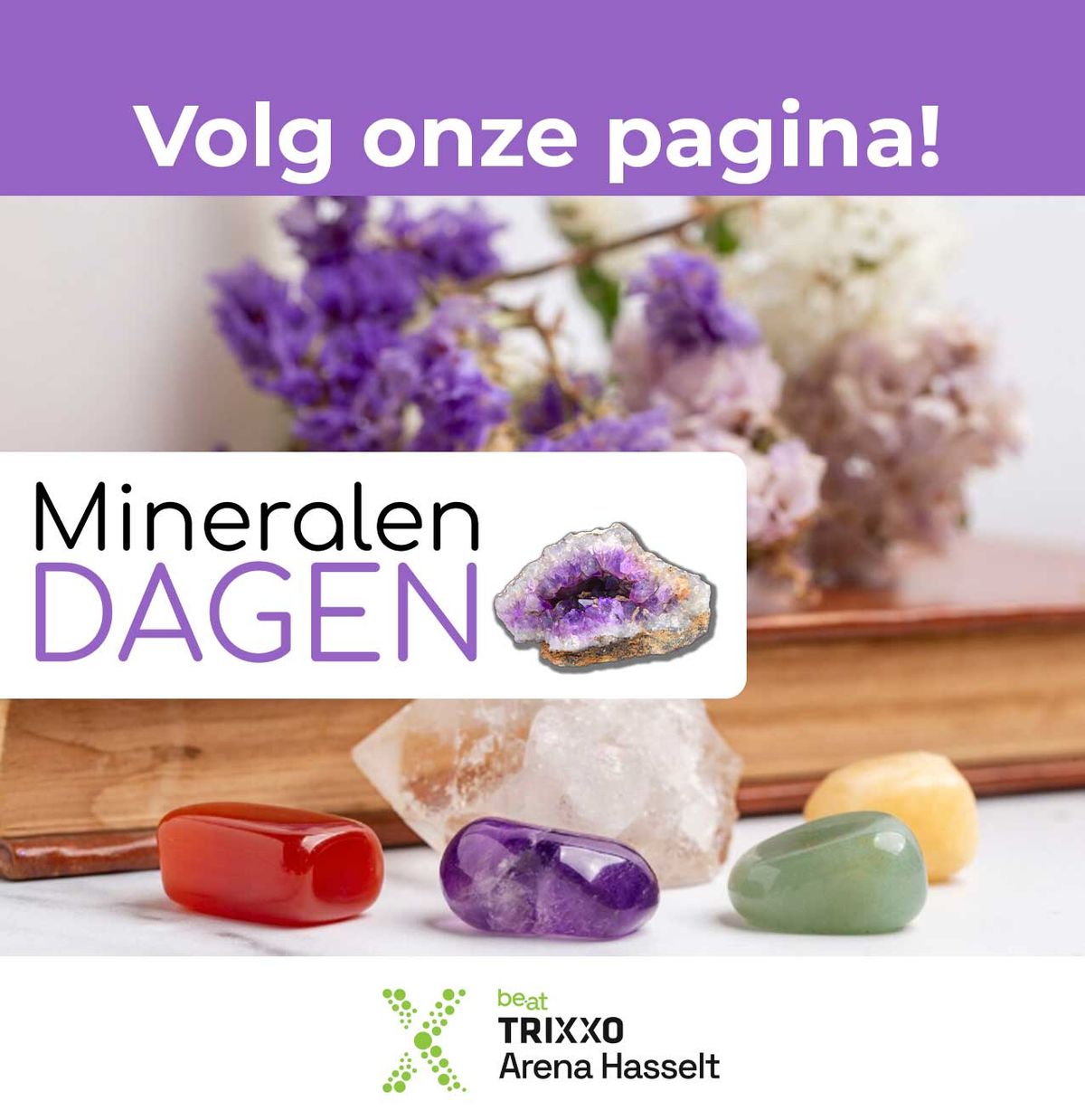 Mineralendagen