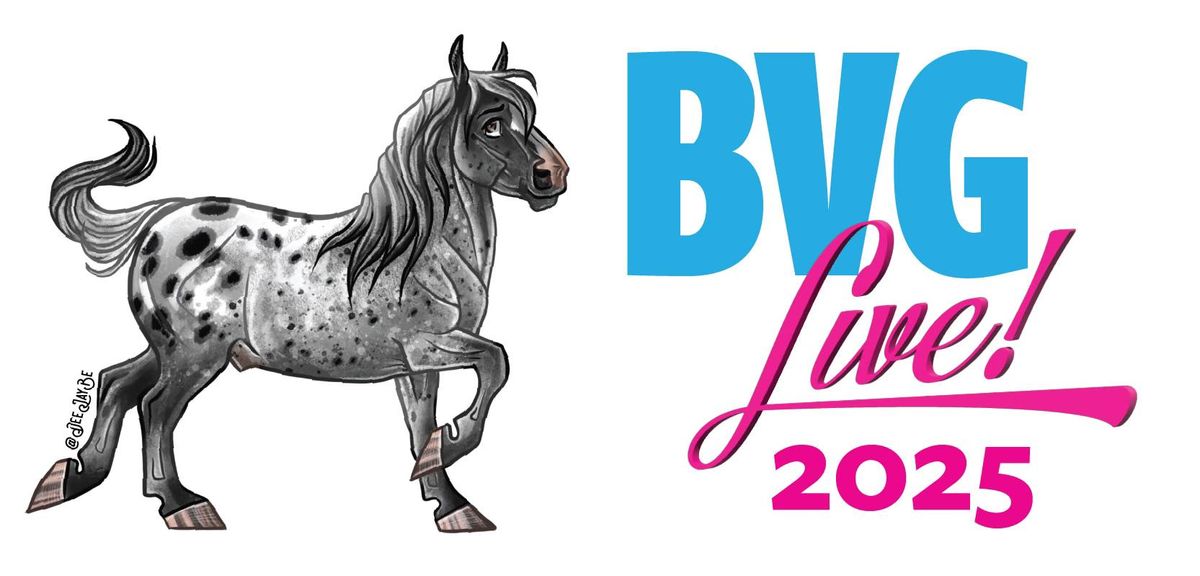 BVG Live! 2025 Model Horse Show