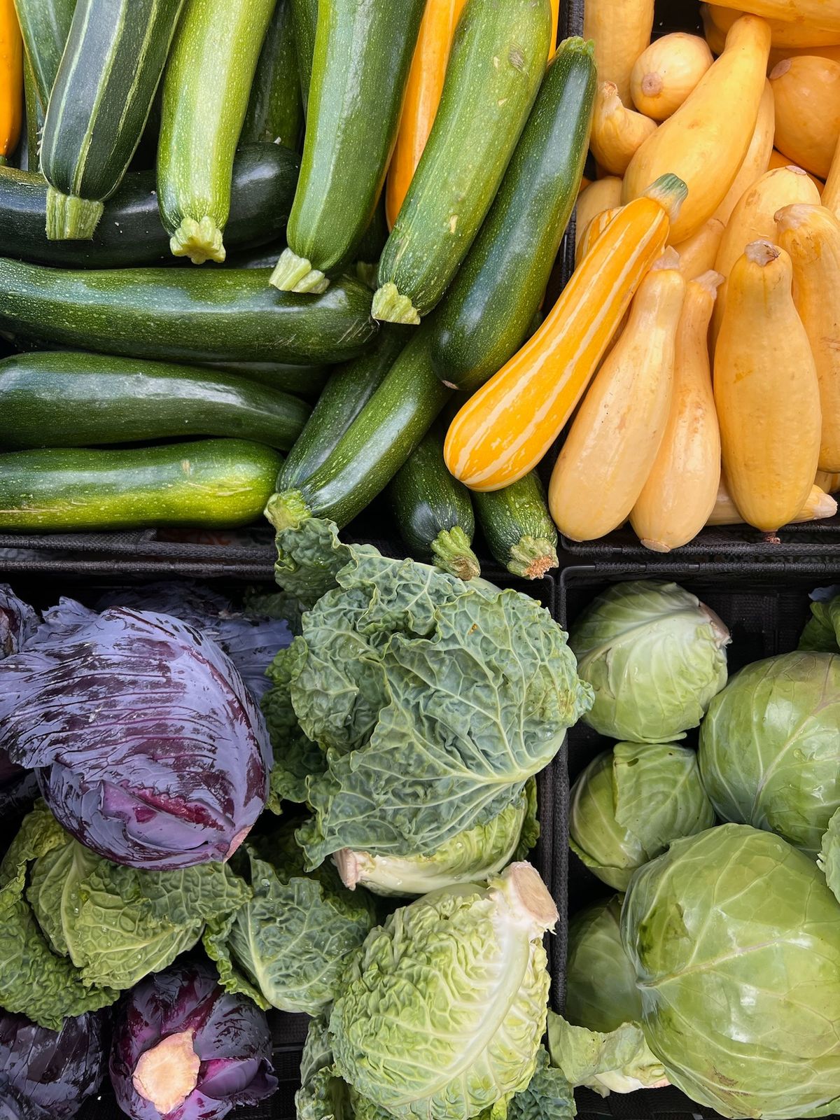 Tower Grove Farmers' Market at Tower Grove Park Every Saturday