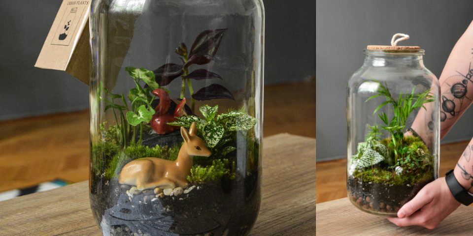 Fairy Garden Terrariums with delsi